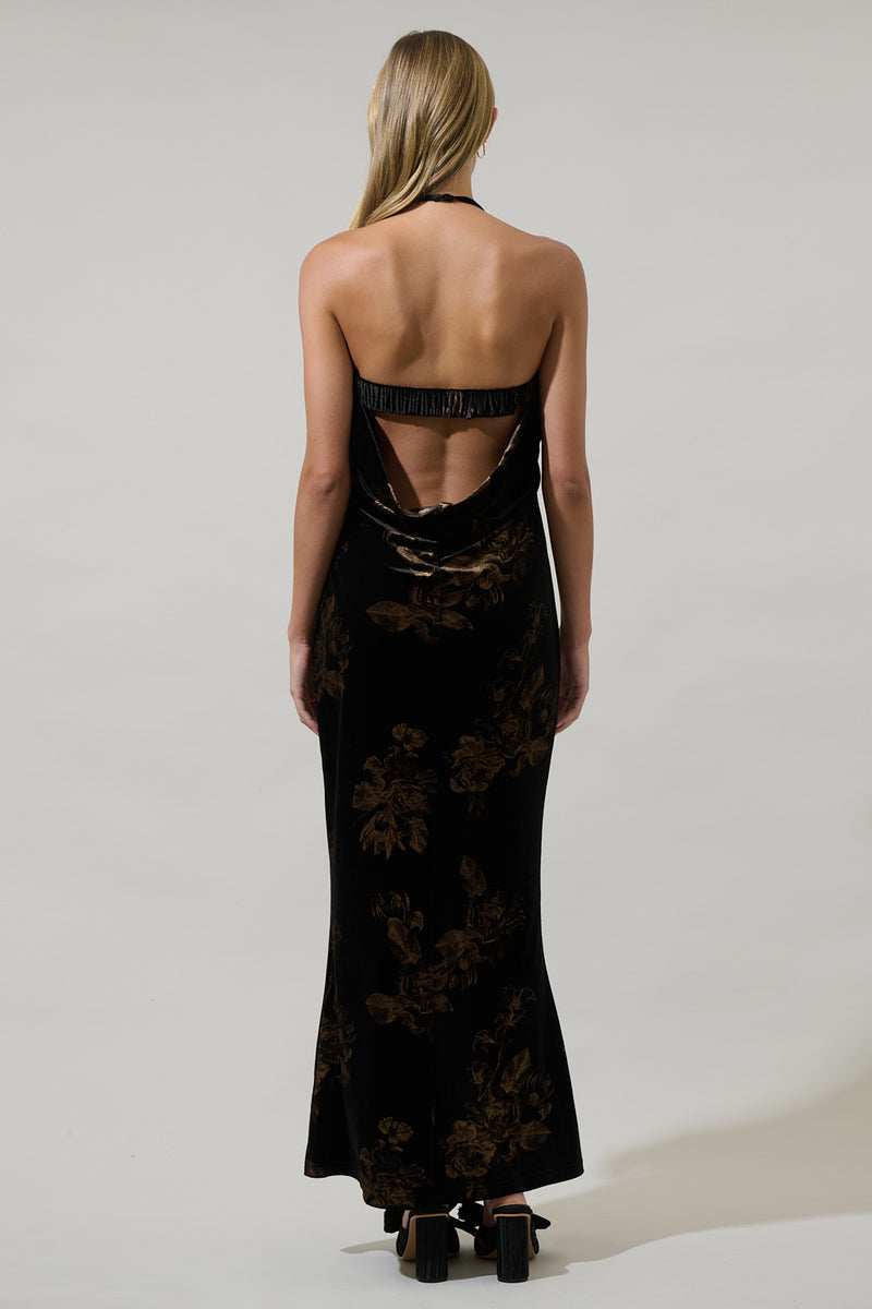 Ace Floral Dynamite Velvet Strapless Maxi Dress – Sugarlips