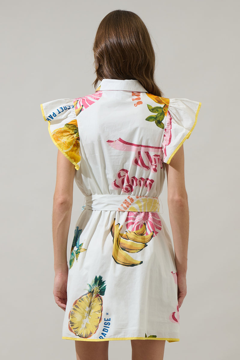 Zahra Island Maia Ruffle Collared Dress – Sugarlips