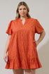 DeBary Floral Celeste Mini Dress Curve