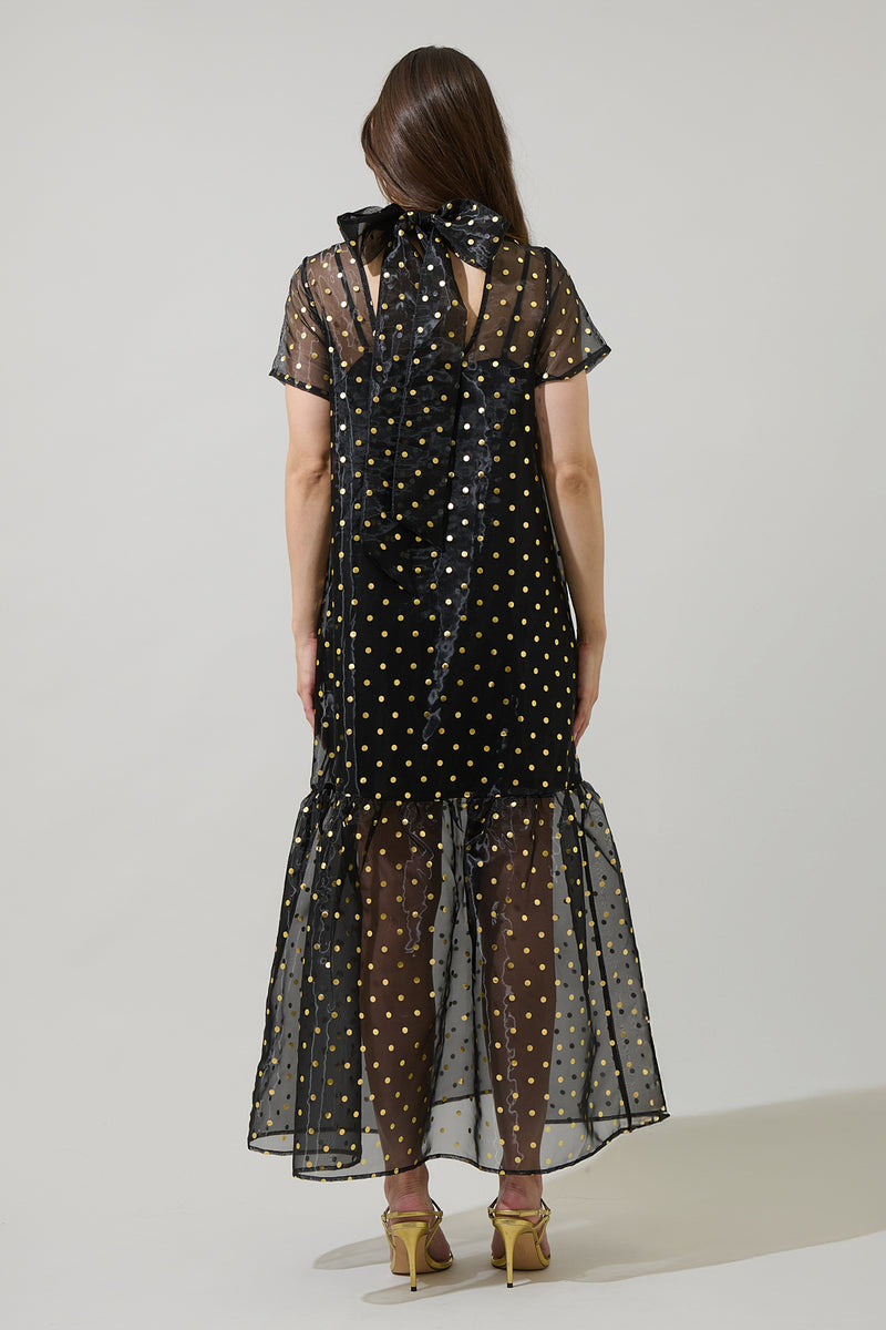 Ferris Polka Dot Dime Organza Mockneck Maxi Dress – Sugarlips