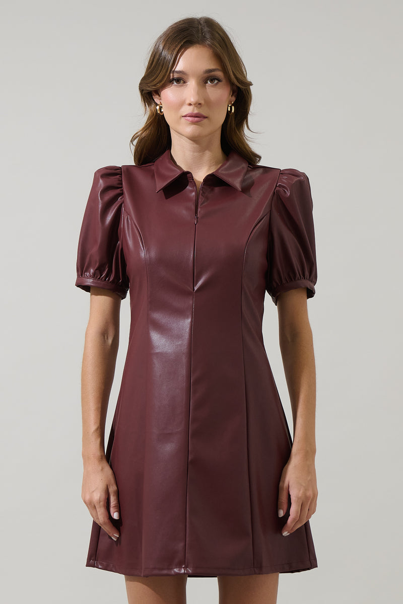 Anisa Faux Leather Kezzy A-line Mini Dress – Sugarlips