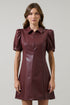 Anisa Leather Kezzy  A-line Mini Dress