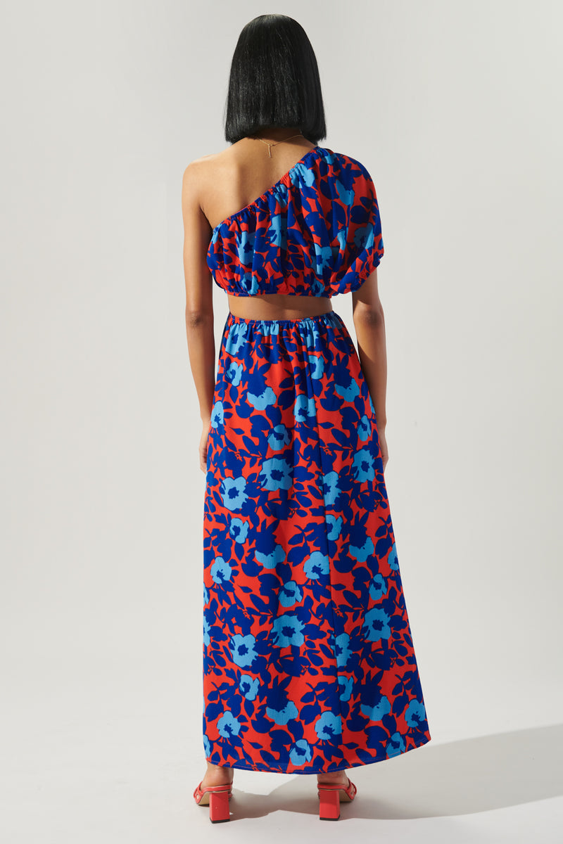 Matador Floral Cutout One Shoulder Maxi Dress – Sugarlips