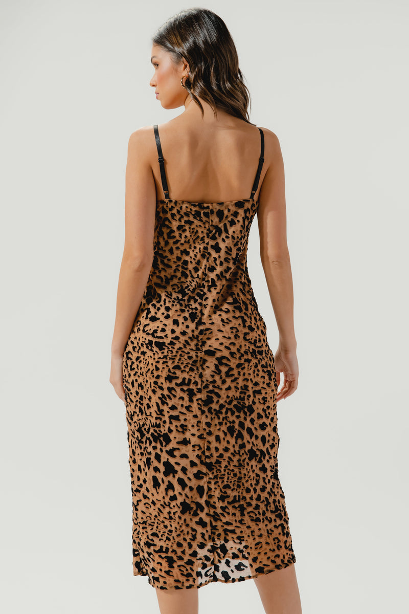 Attiya lace-trimmed leopard-print crepe midi dress