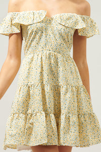 Pastina Floral Payton Sweetheart Ruffle Mini Dress