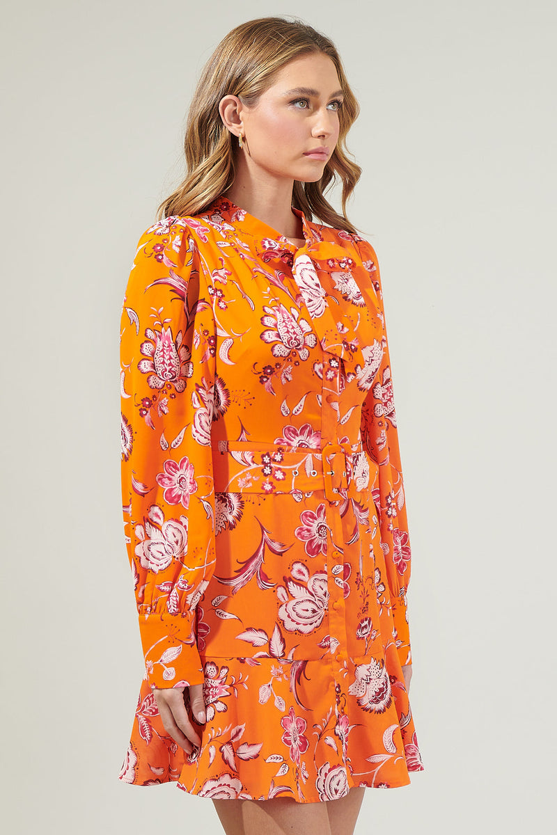 Cute Dresses, Women’s Clothes, Seamless Tops Sugarlips