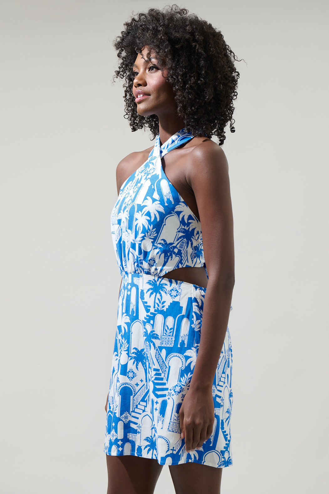 nala mini dress Nala Delta Halter Mini Dress White-Blue / S
