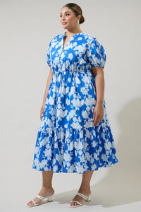 Grafton Floral Ticking Floral Waist Tie Midi Dress Curve