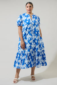 Grafton Floral Ticking Floral Waist Tie Midi Dress Curve