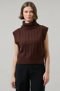 Anaya Turtle Neck Ribbed Sweater Top