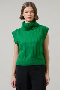 Anaya Turtle Neck Ribbed Sweater Top