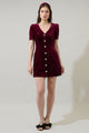 Jackson Velvet Button Mini Dress