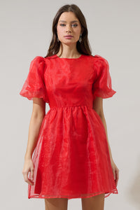 Borza Organza Mini Dress