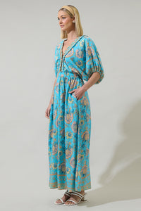 Raven Floral Hant V-Neck Maxi Dress