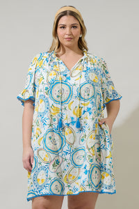 Harvest Island Darcie Shift Dress Curve