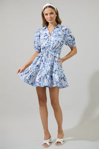 Francine Toile Stacie Button Down Mini Dress