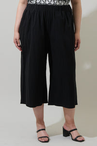 Isha Wide Capri Pants Curve