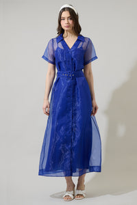 Emerie Organza Button Down Maxi Dress