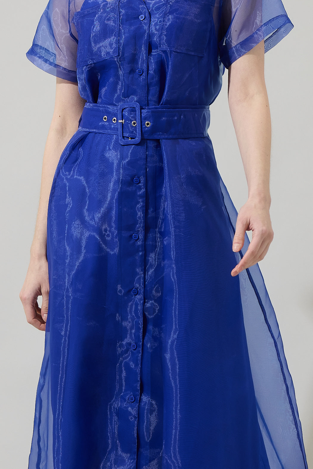 sugarlips organza dress Abay Floral Dime Organza Maxi Dress BLUE-WHITE / M by Sugarlips