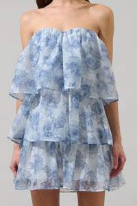 Denny Strapless Organza Dress