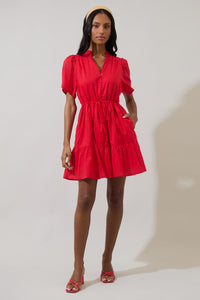 Amo Button Up Mini Dress