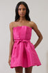 Lucida Strapless Pleated Mini Dress