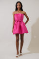 Lucida Strapless Pleated Mini Dress