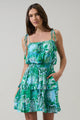 Tanti Floral Salta Ruffle Mini Dress