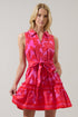 Rency Floral Zady Sleeveless Mini Dress