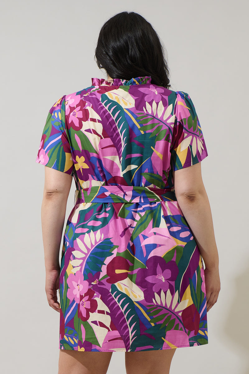 Blain Tropics Ema Shift Mini Dress Curve – Sugarlips