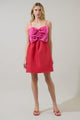 Tizza Bow Color Block Mini Dress