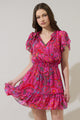Anais Floral Bumble Ruffle Mini Dress
