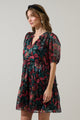 Briala Organza Islen Tiered Mini Dress