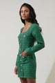 Haley Tweed Salome Button Down Mini Dress