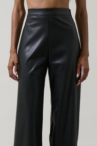 Anisa Leather Bern Wide Leg Pants