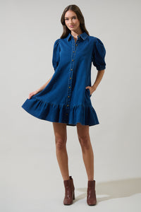 Jamie Denim Levy Button Down Shift Dress