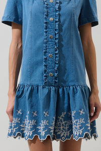 Jamie Denim Embroidered Mini Dress