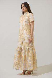 Mimy Floral Dime Organza Mockneck Maxi Dress