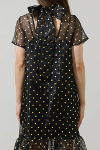 Ferris Polka Dot Dime Organza Mockneck Maxi Dress