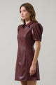 Anisa Leather Kezzy  A-line Mini Dress