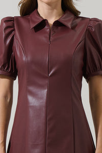 Anisa Leather Kezzy  A-line Mini Dress