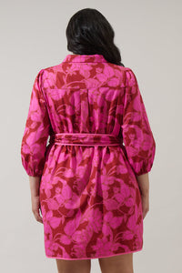 Craney Floral Ravan Collared Mini Dress Curve