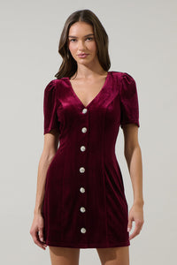Jackson Velvet Button Mini Dress