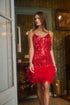 Camry Sequin Fringe Feather Mini Dress