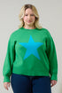 Tavi Star Pull Over Sweater Curve