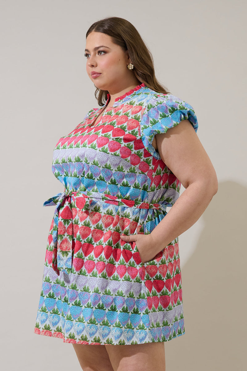 Berry Burst Orela Shift Mini Dress Curve – Sugarlips