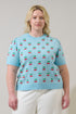Cherryville Short Sleeve Sweater Top Curve