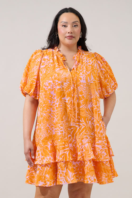 Curve Dresses