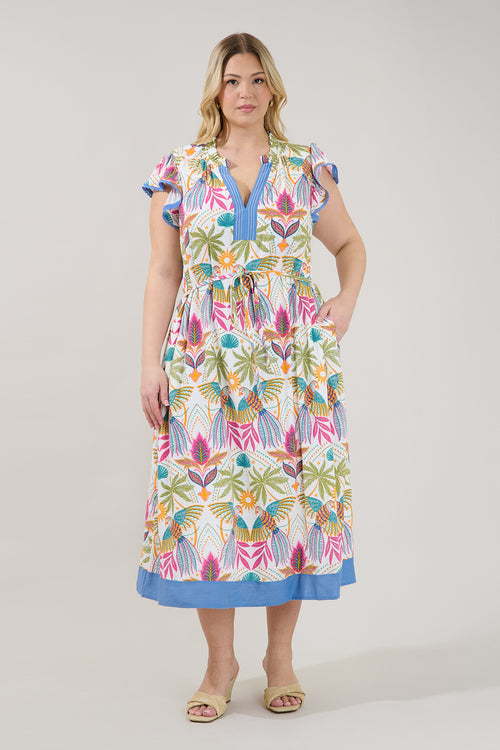 Curve Dresses