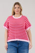 Clarie Stripe Crochet Sweater Top Curve